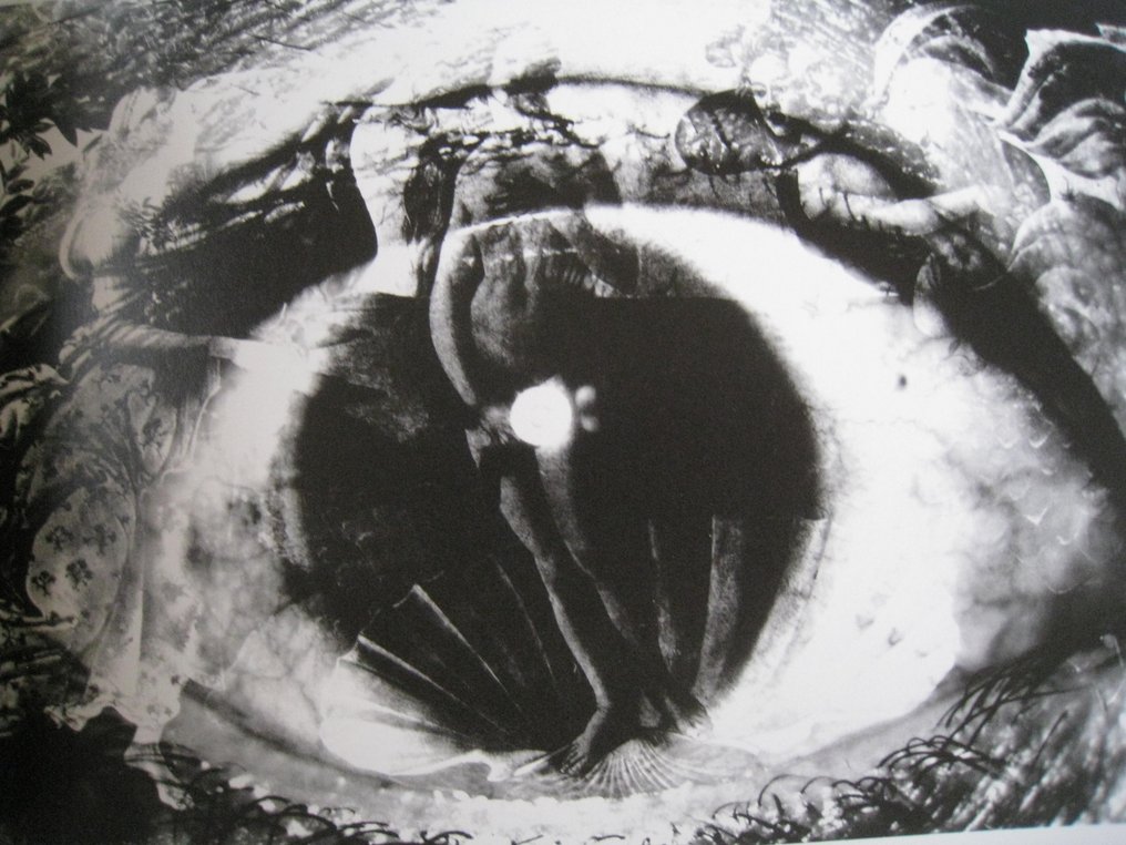 Eikoh Hosoe - Photography: The World of Eikoh Hosoe - 1988 #2.3