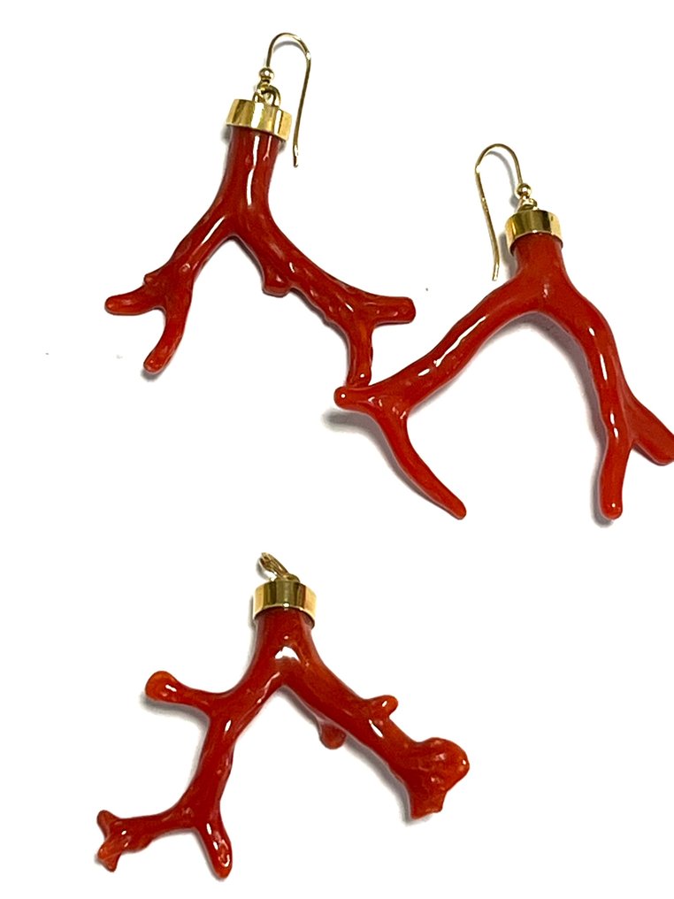 Earrings - 18 kt. Yellow gold Coral - Sardinia red coral #3.2