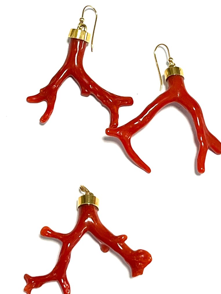 Earrings - 18 kt. Yellow gold Coral - Sardinia red coral #3.1