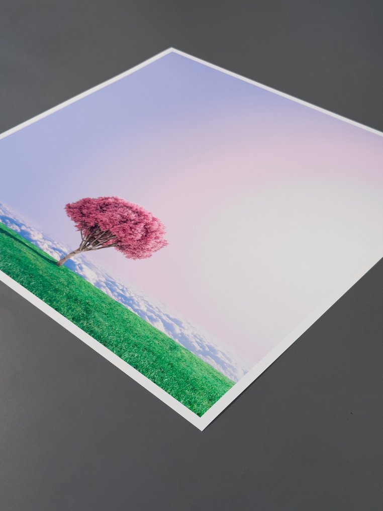 Téber - High Society · XL #2.1