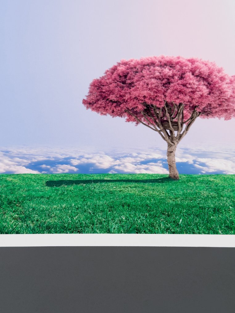 Téber - High Society · XL #1.0