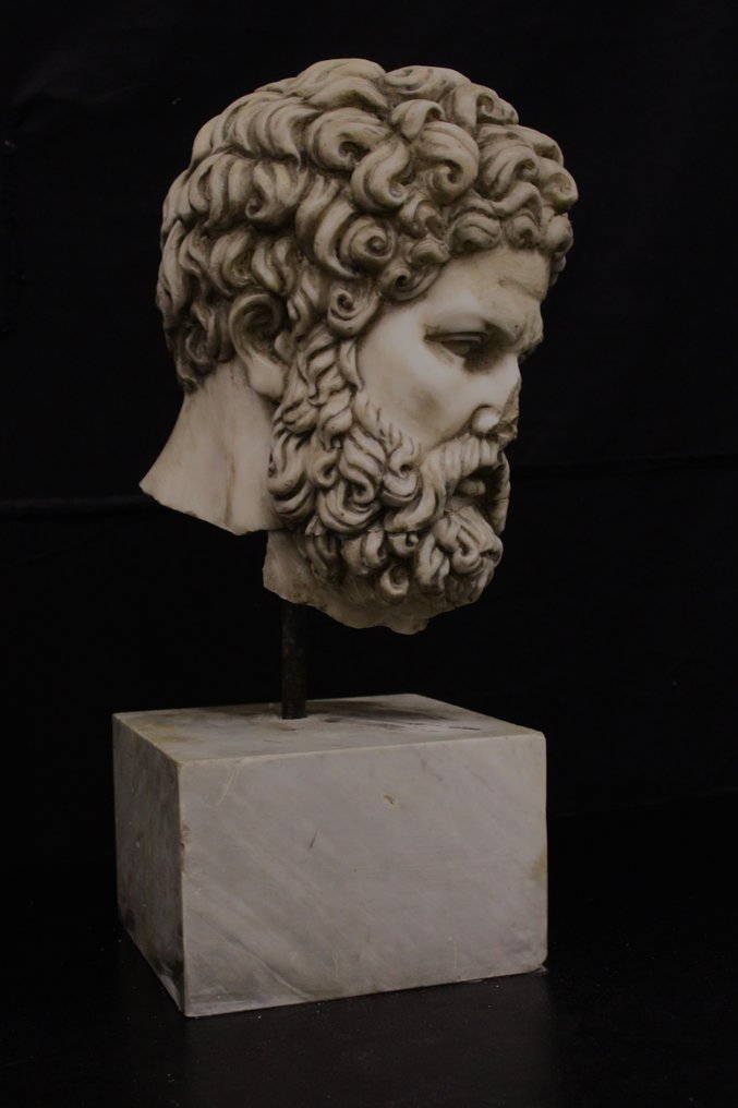 Sculpture, Testa di Ercole - 50 cm - Marble #2.1