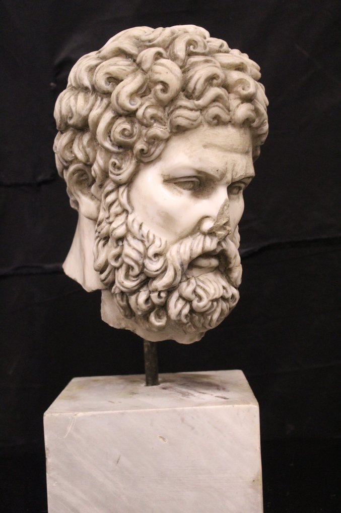 Sculpture, Testa di Ercole - 50 cm - Marble #1.2