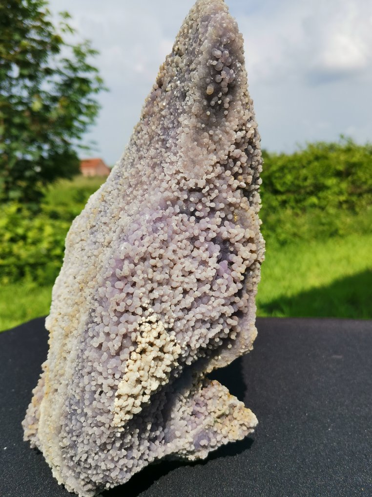 Traubenachat, auch bekannt als violetter Chalcedon, natürliches Kristallexemplar traubig - Höhe: 25 cm - Breite: 12.5 cm- 1.9 kg #1.2