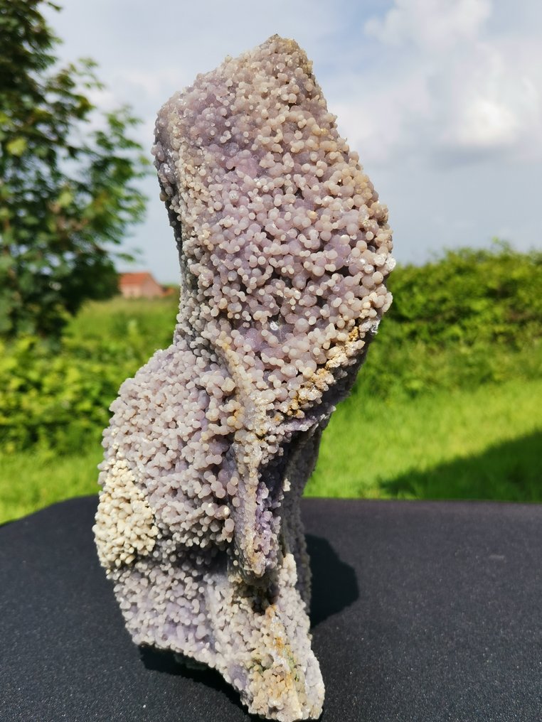 Ágata de uva también conocida como espécimen de cristal natural de Calcedonia Púrpura Botroidal - Altura: 25 cm - Ancho: 12.5 cm- 1.9 kg #1.1