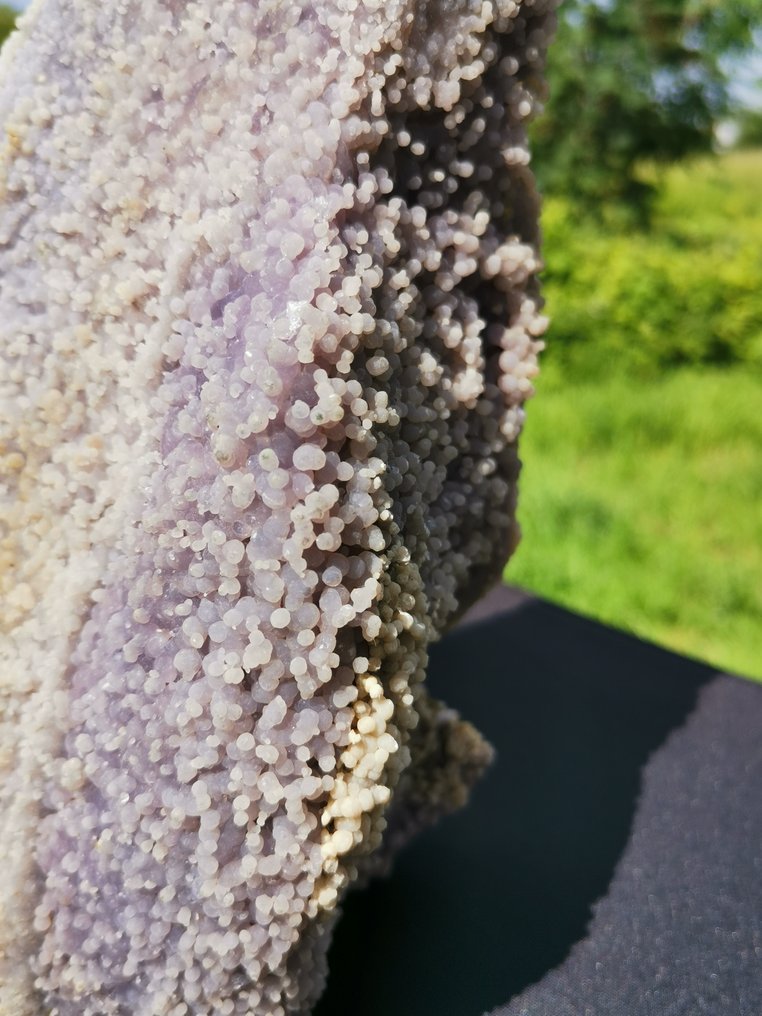 Ágata de uva también conocida como espécimen de cristal natural de Calcedonia Púrpura Botroidal - Altura: 25 cm - Ancho: 12.5 cm- 1.9 kg #2.1