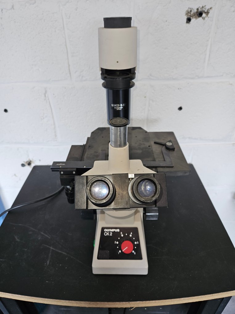 Microscoop - CK2 - 1950-1960 - Olympus #1.1