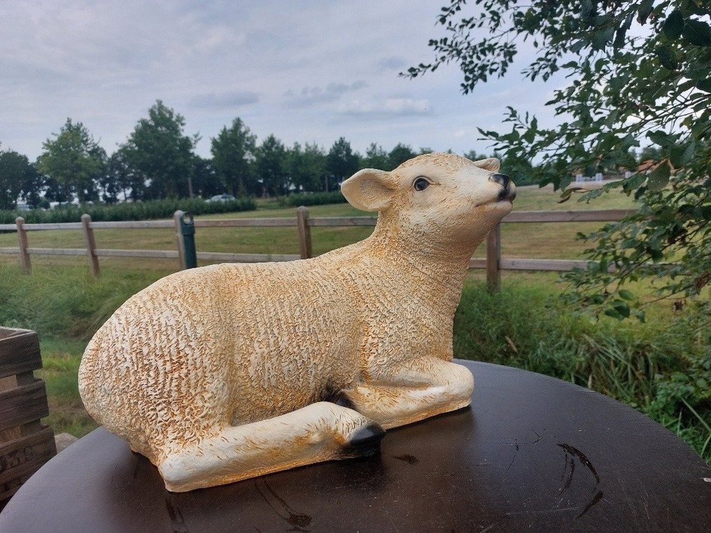 雕像, life size and a lifelike (Texel lamb) - 32 cm - polyresin #1.0