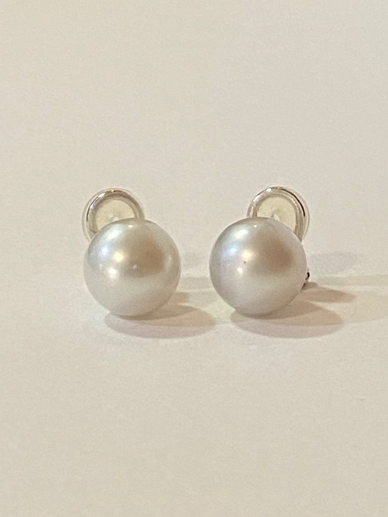 Earrings - 18 kt. White gold Pearl #1.2