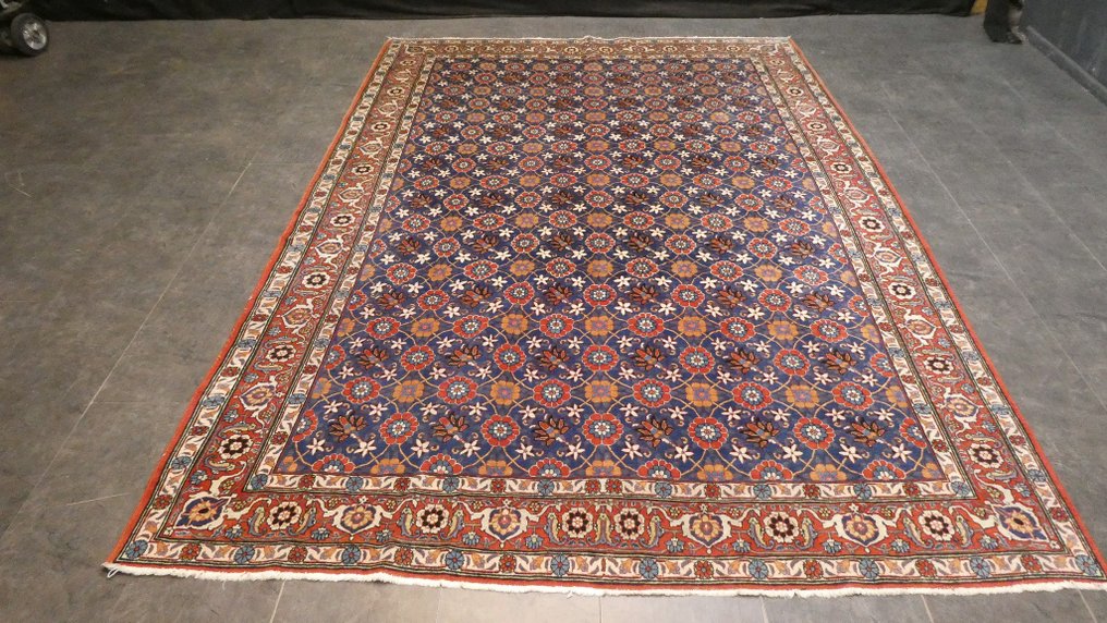 veramină Iran - Carpetă - 318 cm - 215 cm #1.1