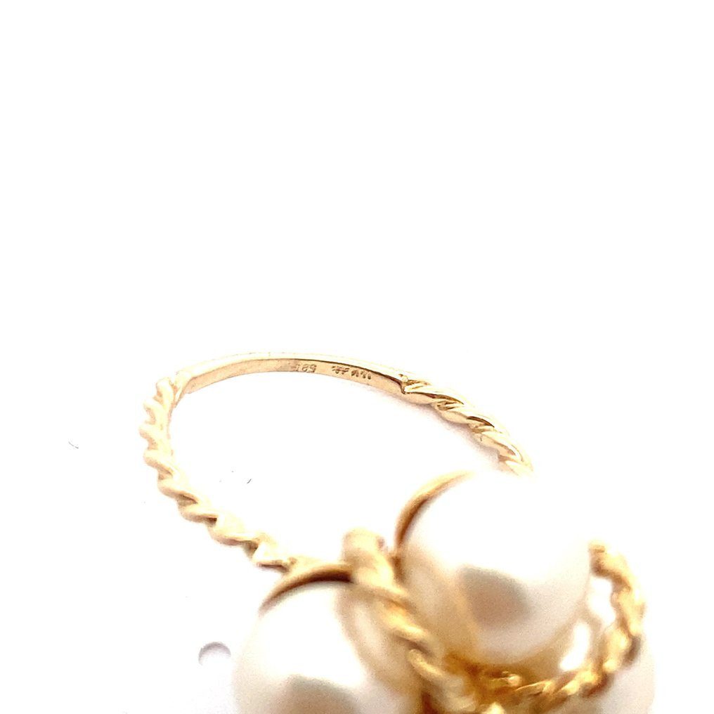 Ring - 14 kt. Yellow gold #2.1