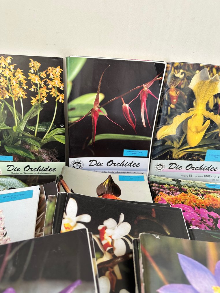 Thematische Sammlung - 36x Das Orchideenmagazin #1.2