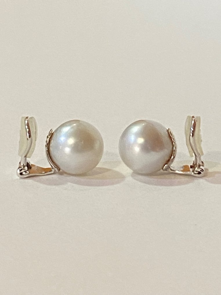 Earrings - 18 kt. White gold Pearl #2.1