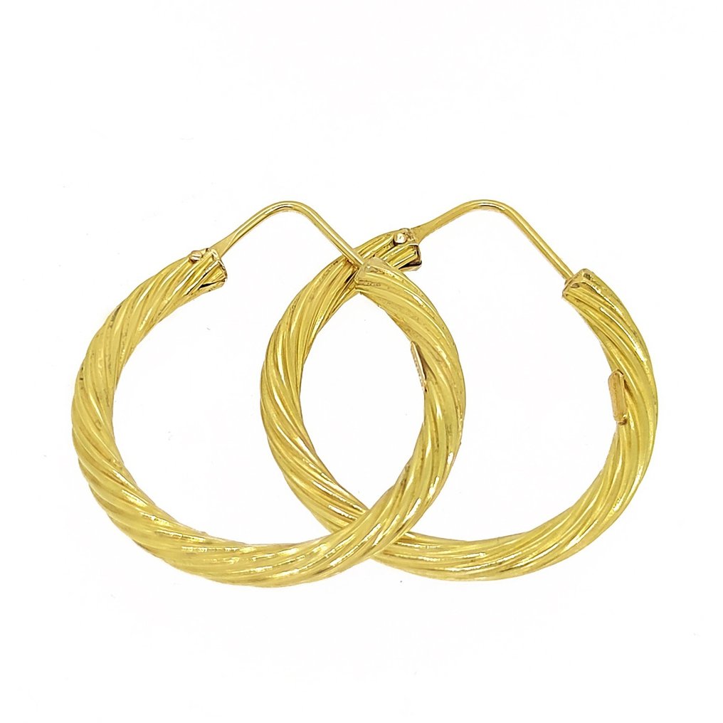 Earrings - 18 kt. Yellow gold #2.1