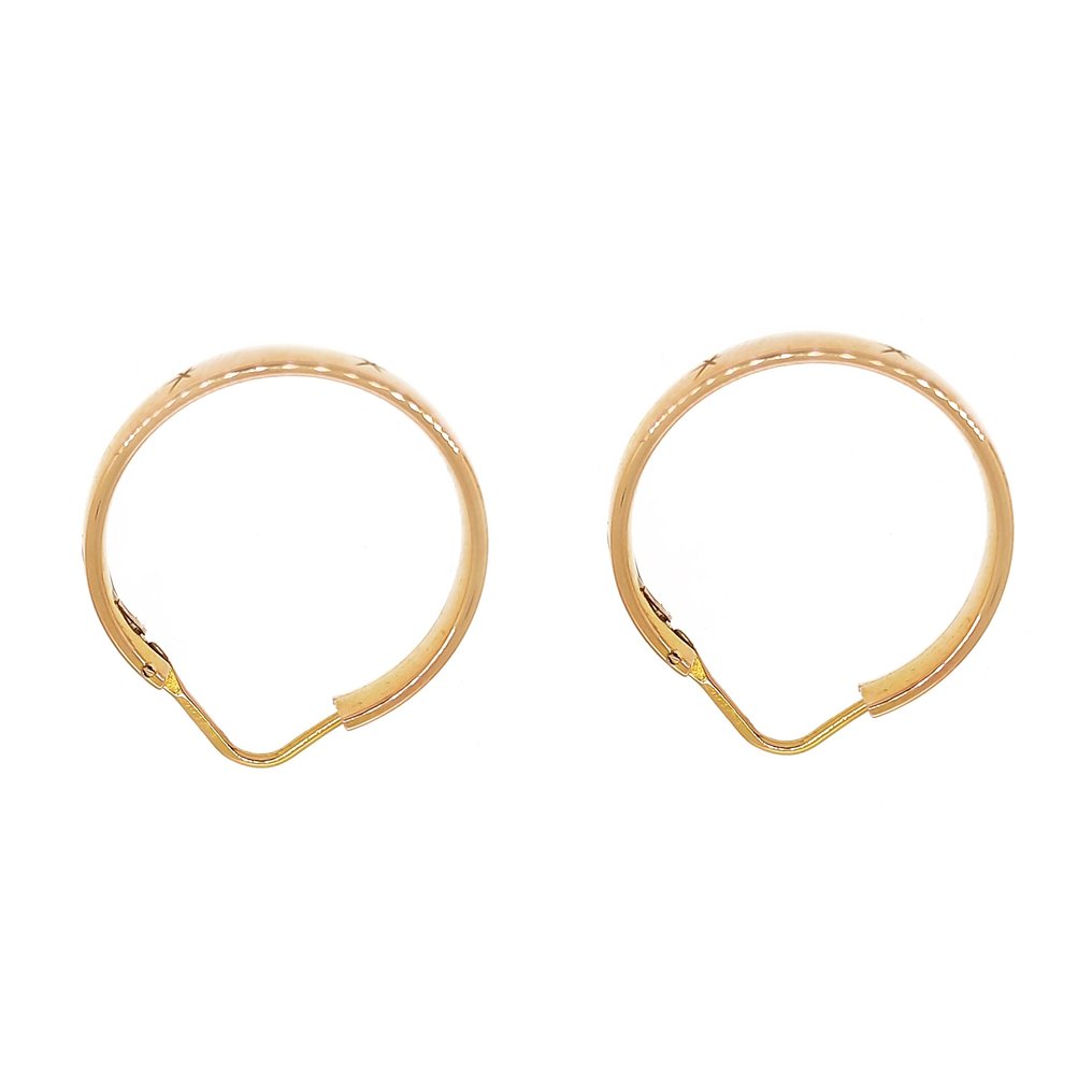 Earrings - 18 kt. Yellow gold #2.1