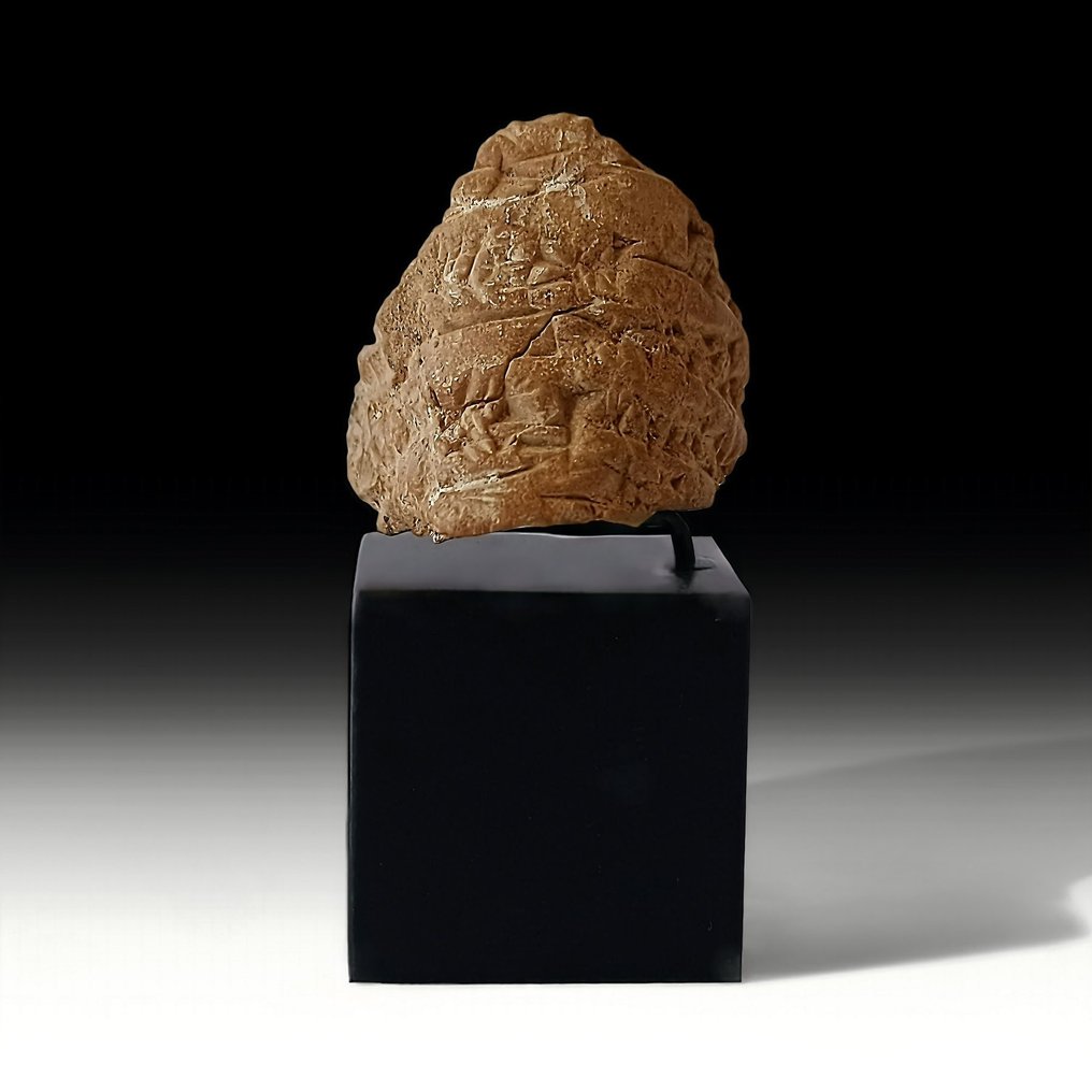 Mesopotamico Argilla Frammento di tavoletta cuneiforme con supporto di presentazione #1.2