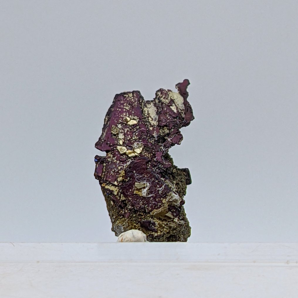 紫蓝色和紫色，伴有黄铁矿，呈撒丁岛的形状。 矩陣晶體 - 高度: 14 mm - 闊度: 4 mm- 0.65 g - (1) #2.1