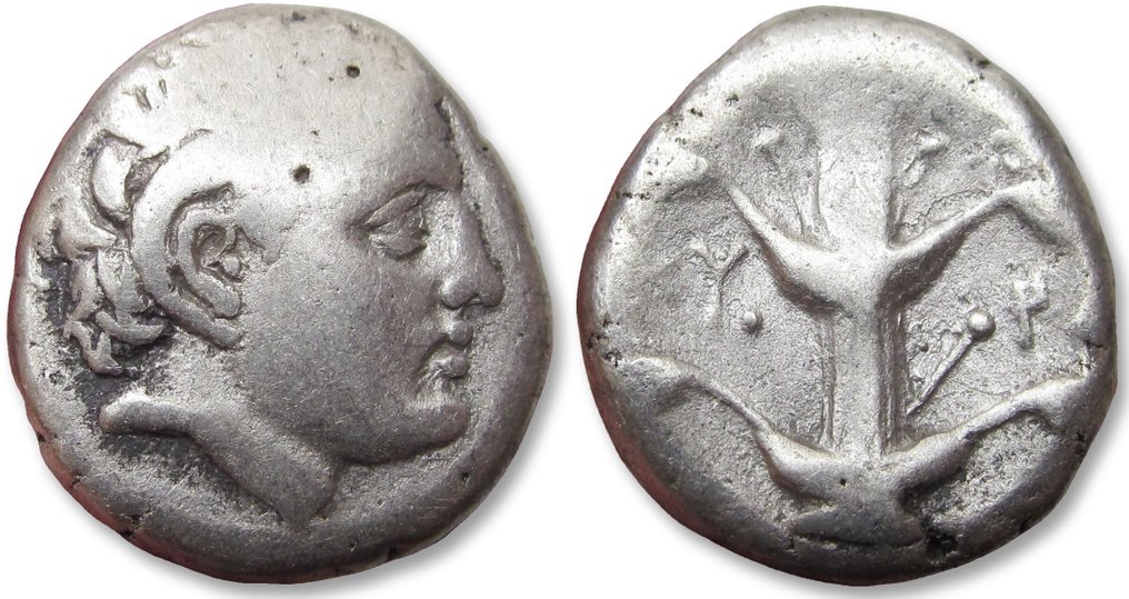 Kyrenaika, Kyrene. Didrachm/Stater Circa 294-275 B.C. - time of Magas - star symbol? #2.1