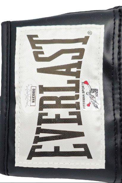 The Hangover - Mike Tyson - Signed Glove - With COA #2.1