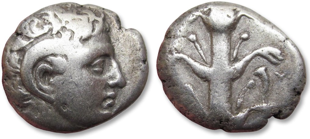 Cirenaica, Kyrene. Didrachm/Stater Circa 294-275 B.C. - time of Magas - cornucopiae symbol - #2.1