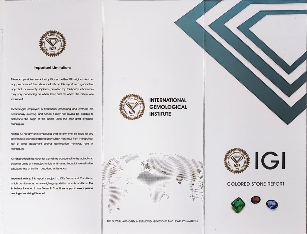 1 pcs 蓝色, 紫罗兰色 坦桑石 - 11.93 ct - 国际宝石研究院(IGI) #4.3