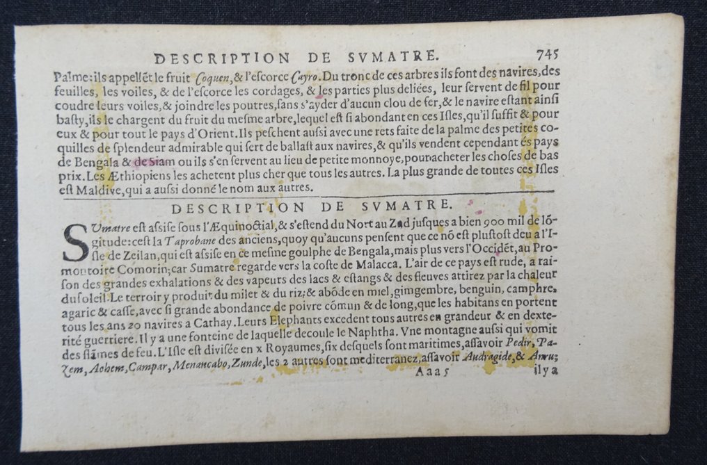 Indonesia - Malaysia, Brunei, Borneo, Kalimantan; Bertius / Hondius - Borneo Insula - 1601-1620 #4.3