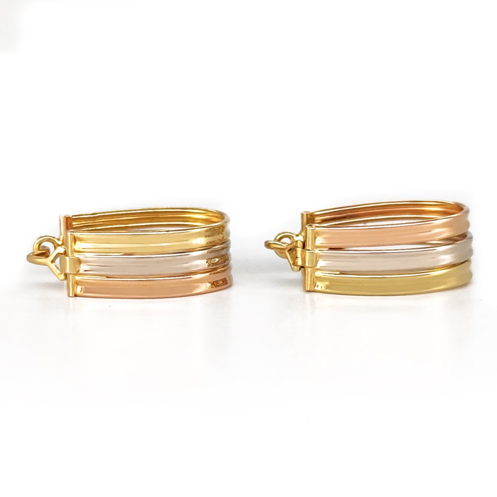 Earrings - 18 kt. Rose gold, White gold, Yellow gold #1.1