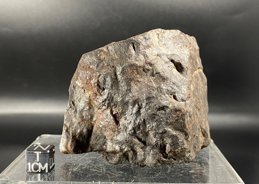 Meteorito NWA 16203 Acondrita primitiva (Winonaita) - 367 g - (1) #1.1