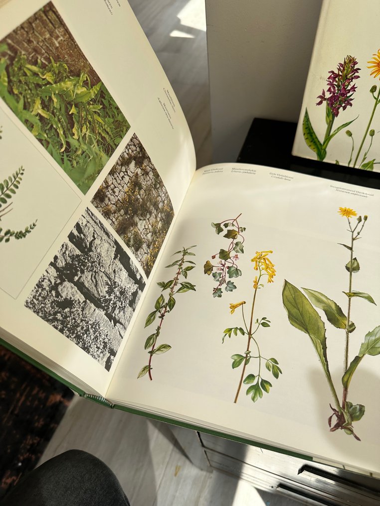 Kolekcja tematyczna - 3x Dzikie rośliny Flora i roślinność w naszych rezerwatach przyrody - Natuurmonumenten #3.2