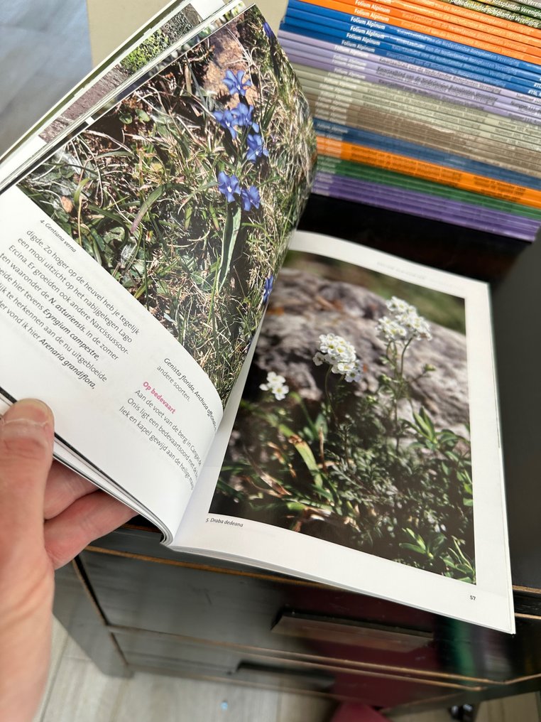 Themed collection - Magazine booklet - Folium Alpium Rotsplanten #2.1