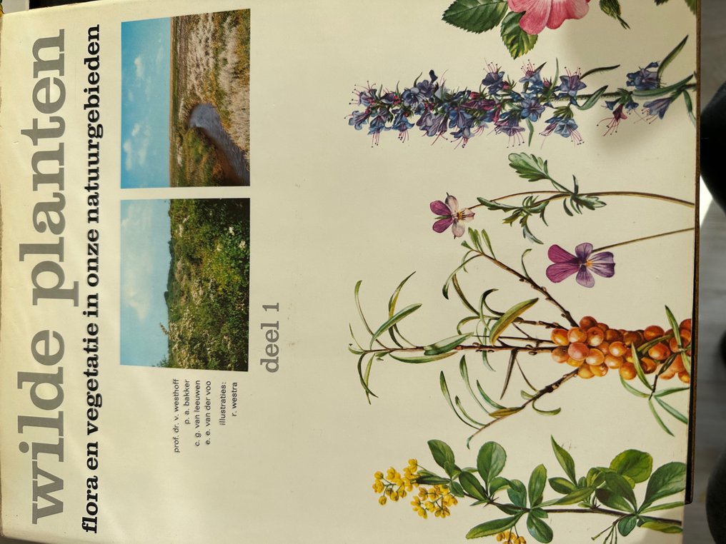 Kolekcja tematyczna - 3x Dzikie rośliny Flora i roślinność w naszych rezerwatach przyrody - Natuurmonumenten #2.1
