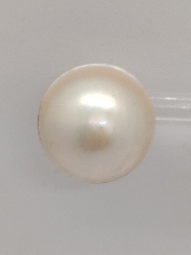 Boucles d'oreilles - 18 carats Or jaune Perle #2.1