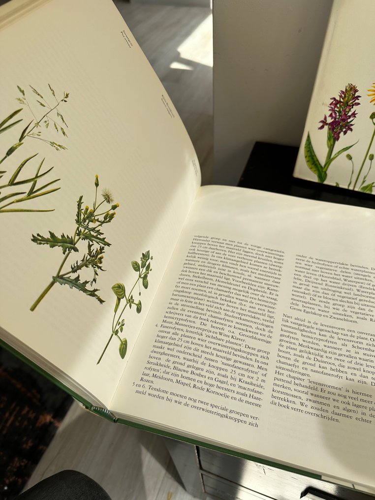 Kolekcja tematyczna - 3x Dzikie rośliny Flora i roślinność w naszych rezerwatach przyrody - Natuurmonumenten #3.1
