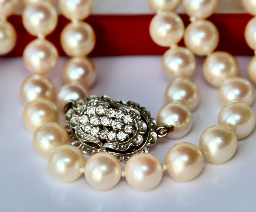 Collier - 18 carats Or blanc, Perles Akoya -  0.60ct. tw. Diamant - Diamant #1.1
