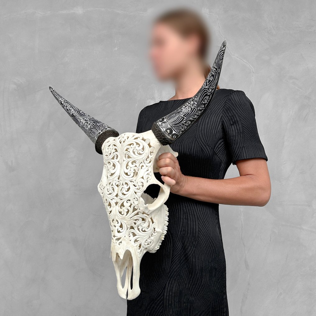 无底价 - 波西米亚风格雕刻牛角的白色牛头骨 - 传统巴厘岛图案 - 雕刻的颅骨 - Bos Taurus - 59 cm - 59 cm - 17 cm- 非《濒危物种公约》物种 #1.2