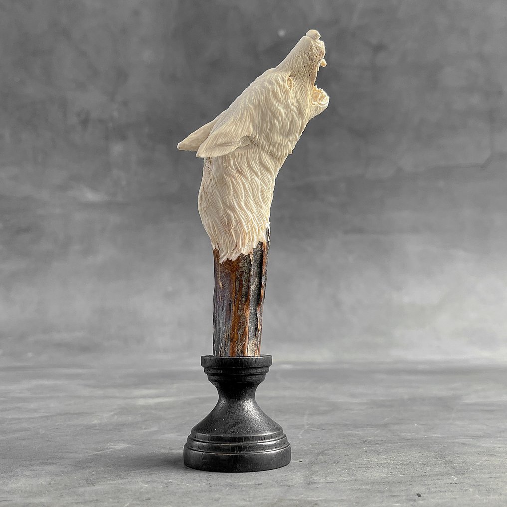 Faragás, NO RESERVE PRICE - A Wolf Head Carving from a Deer Antler on a stand - 18 cm - Fa, Szarvas agancs - 2024 #2.1