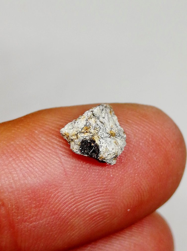 Ritka meteorit a 2023 CX1 kisbolygóról - Saint-Pierre-le-Viger. L5/6 Esés megfigyelhető! - 0.42 g #2.1