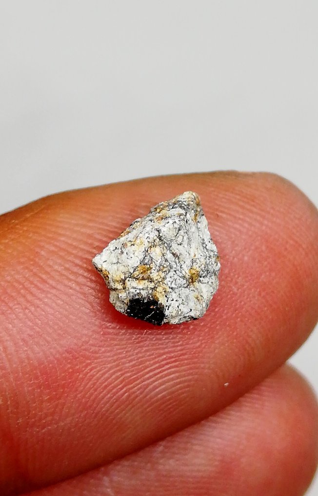 Ritka meteorit a 2023 CX1 kisbolygóról - Saint-Pierre-le-Viger. L5/6 Esés megfigyelhető! - 0.42 g #1.1