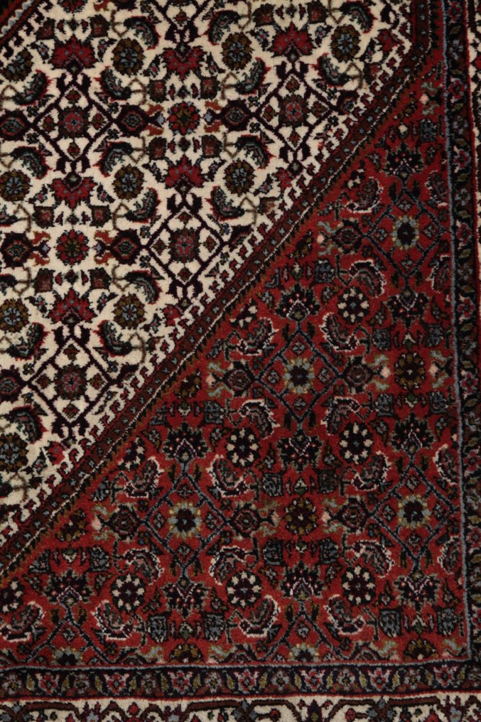 Bidjar - Carpet - 165 cm - 103 cm #3.1