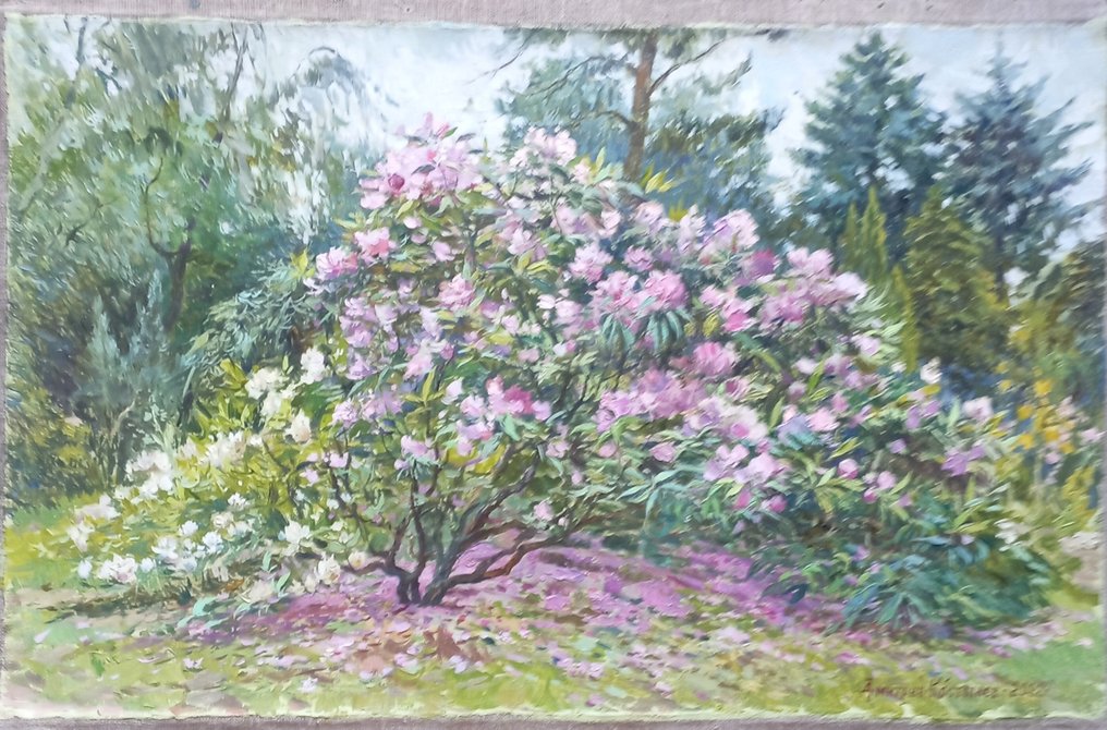 Dmitry Kostylew (1976-) - Rhododendrons au Jardin Botanique #1.1