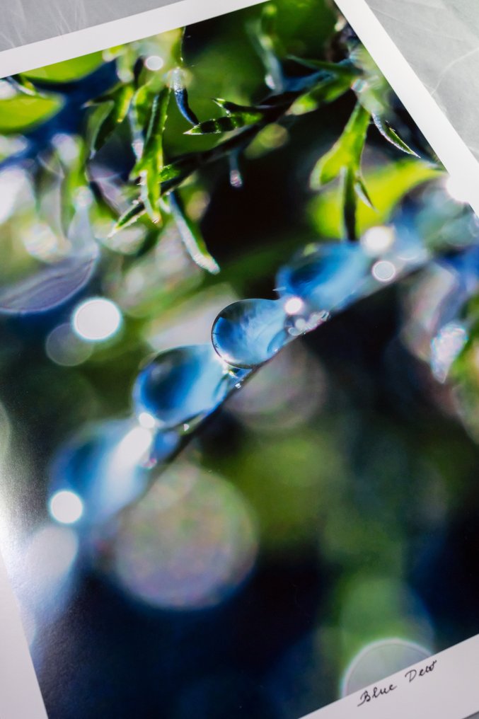 Inna Etuvgi - Blue Dew #3.2