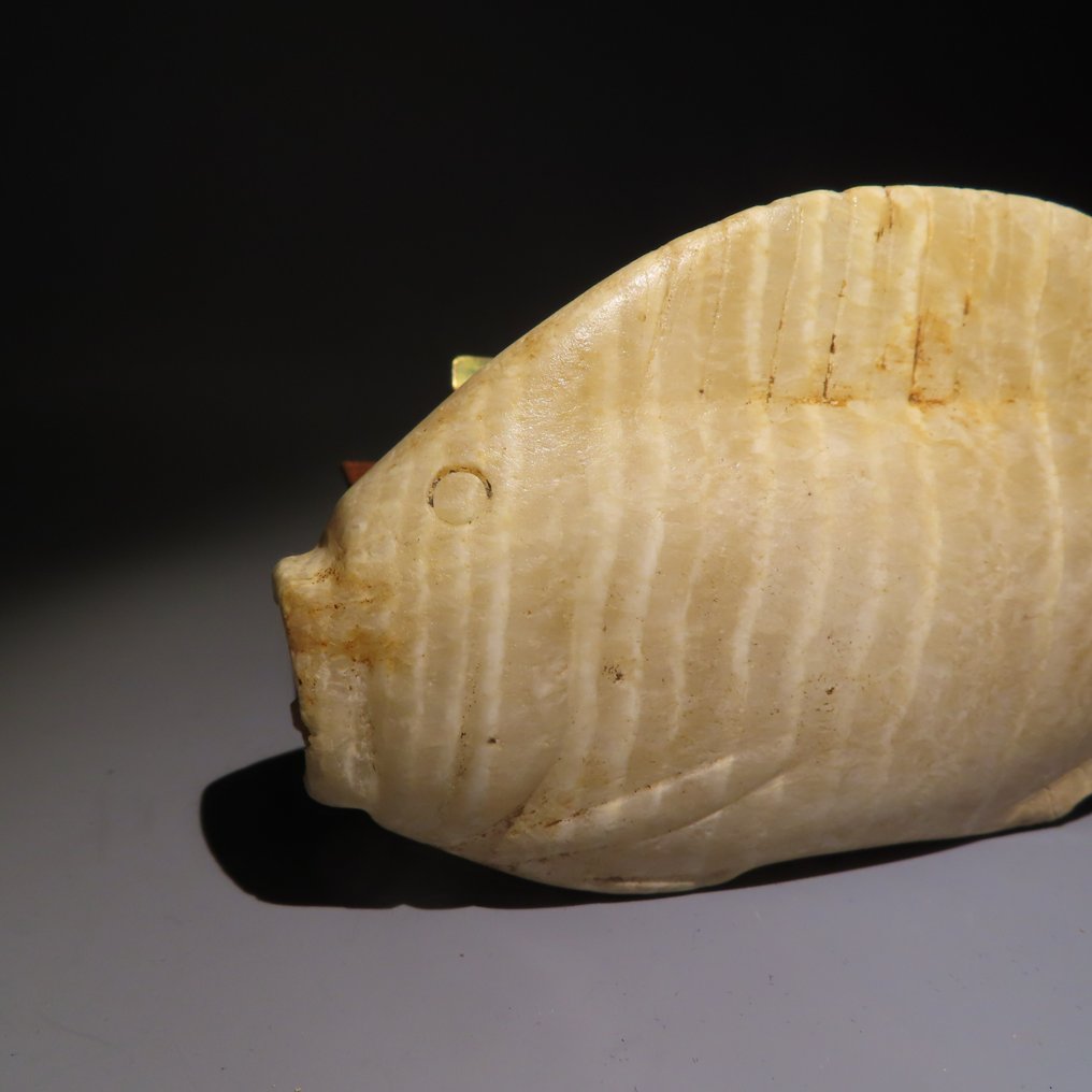 Muinainen Egypti Alabasteri Canopic jar, Bolti-kalan muotoinen kosmetiikkaastia - Tilapia. Keski-valtakunta. Erittäin harvinainen! #2.1