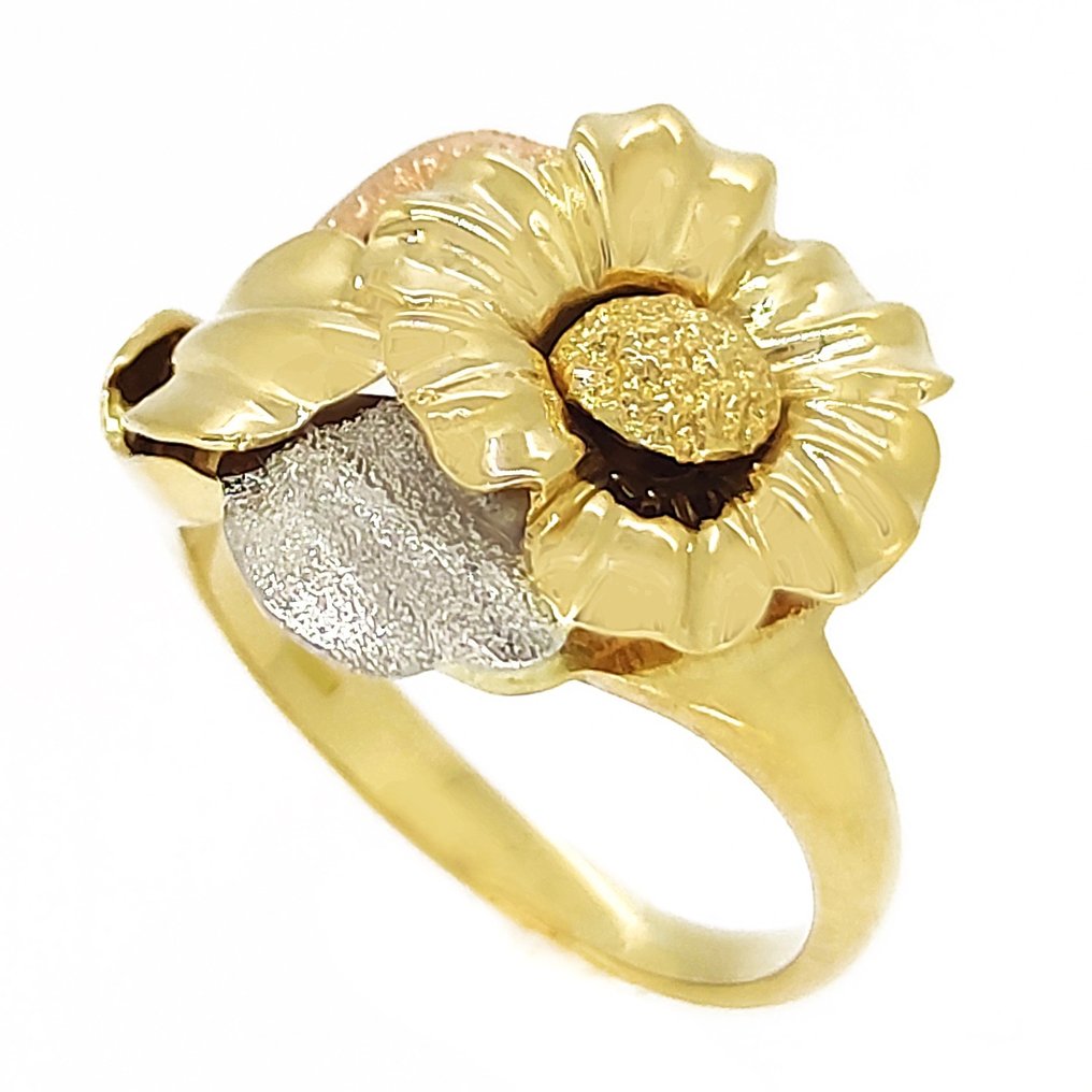 Δαχτυλίδι - 18 καράτια Κίτρινο χρυσό, Λευκός χρυσός, Ροζ χρυσό #2.1