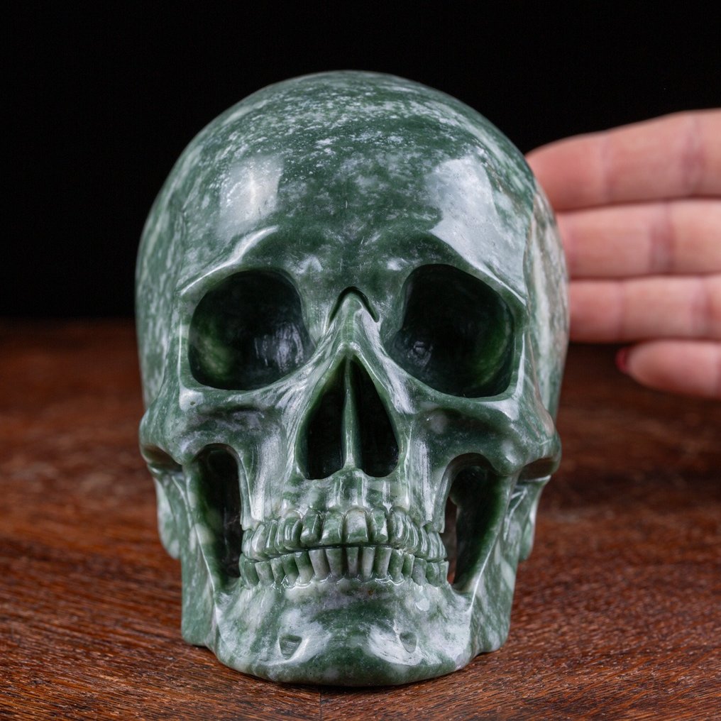 Merveilleuse sculpture - Jaspe vert africain - Crâne extrêmement réaliste- 2155 g #1.1
