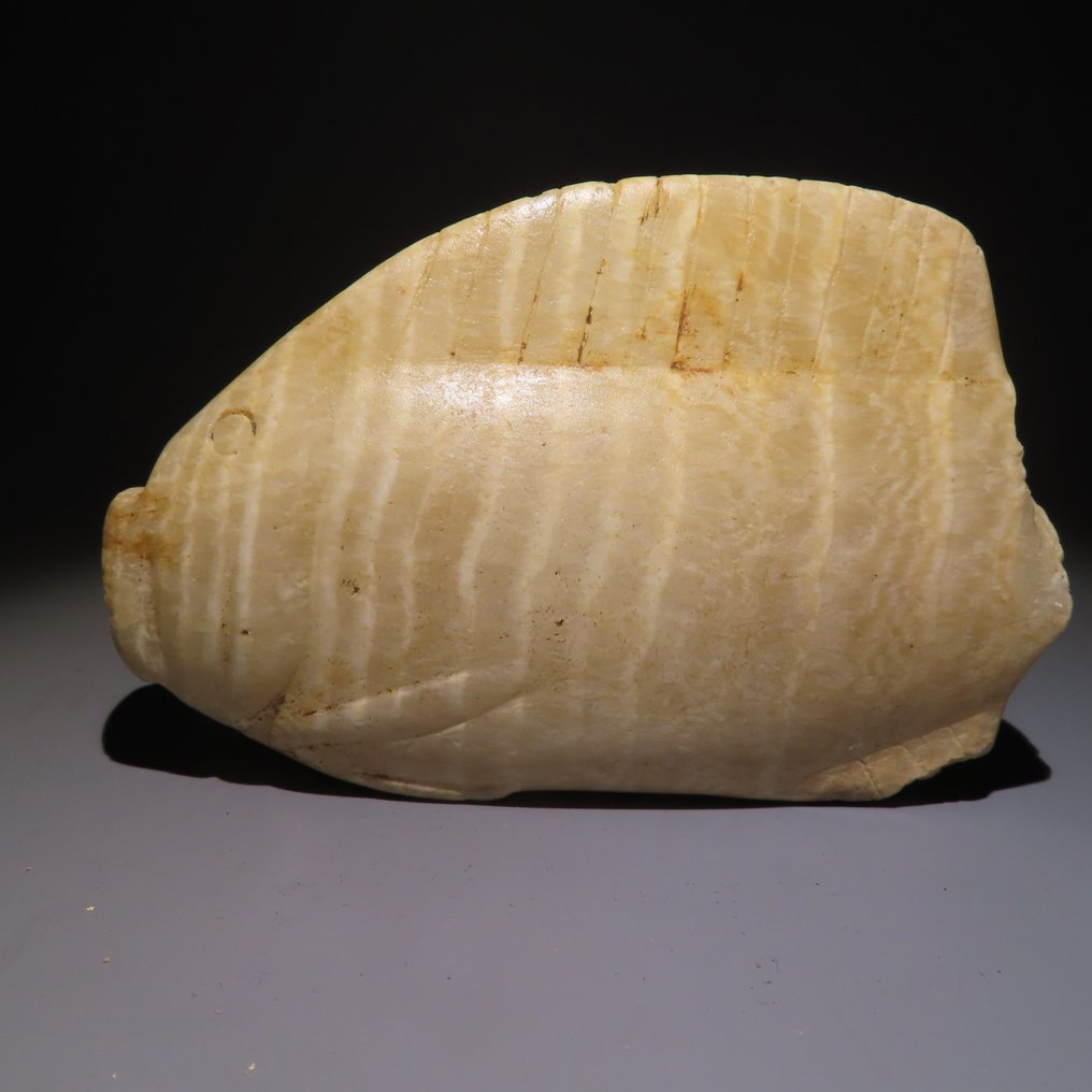 Ancient Egyptian Alabaster Canopic jar, Cosmetic vessel in the shape of a bolti fish - Tilapia. Middle Kingdom. Very rare! #1.1