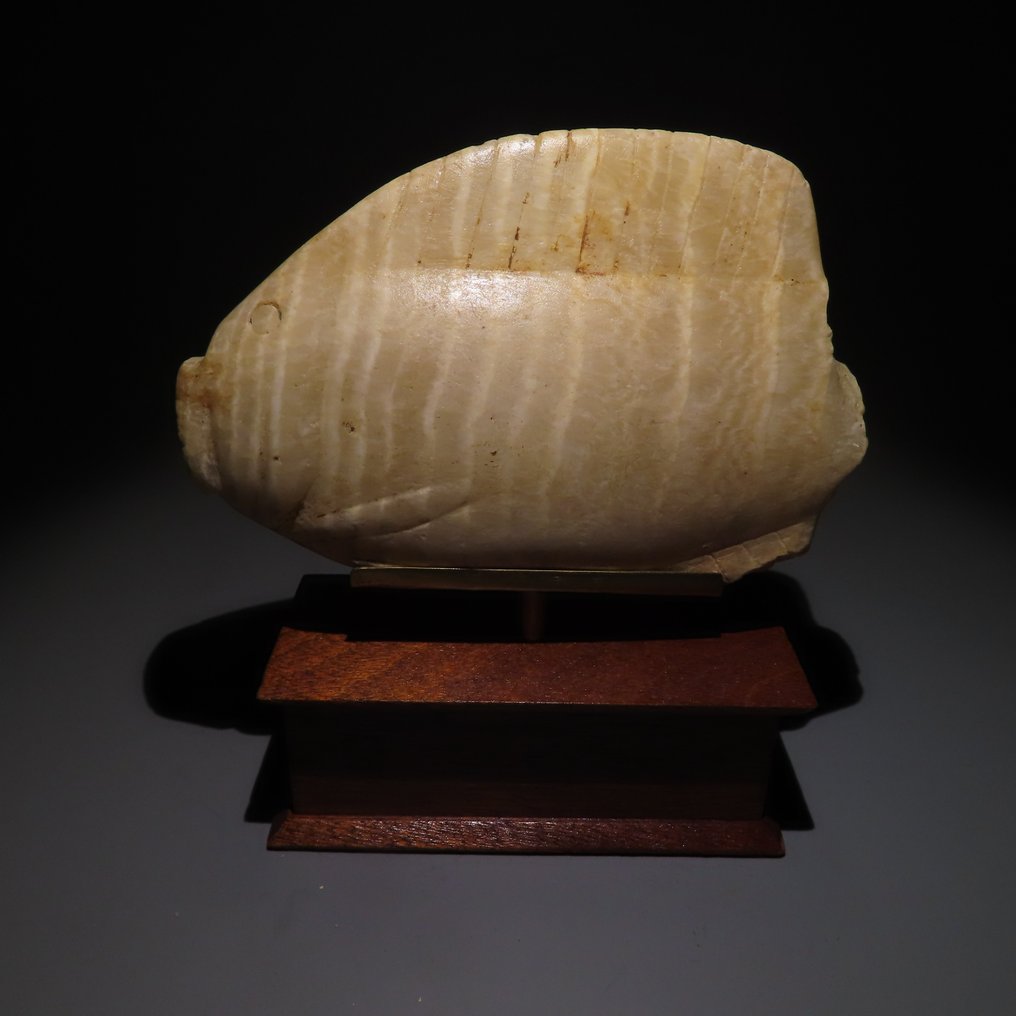 Antiguo Egipto Alabastro Canopic jar, Recipiente cosmético en forma de pez Bolti - Tilapia. Reino Medio. ¡Muy raro! #1.2