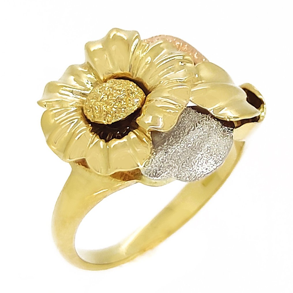 Δαχτυλίδι - 18 καράτια Κίτρινο χρυσό, Λευκός χρυσός, Ροζ χρυσό #1.1