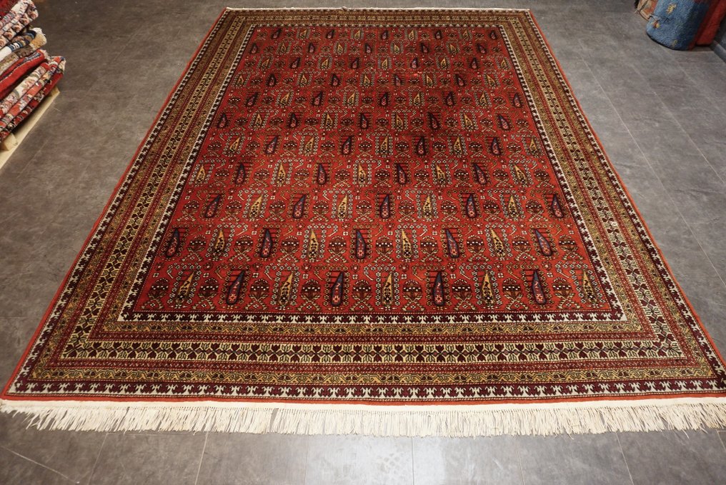 傑爾賓特·希爾萬 - 地毯 - 336 cm - 250 cm #2.1