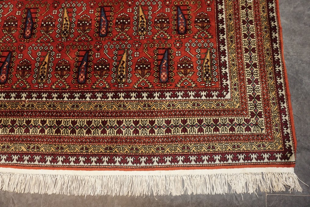 傑爾賓特·希爾萬 - 地毯 - 336 cm - 250 cm #3.1