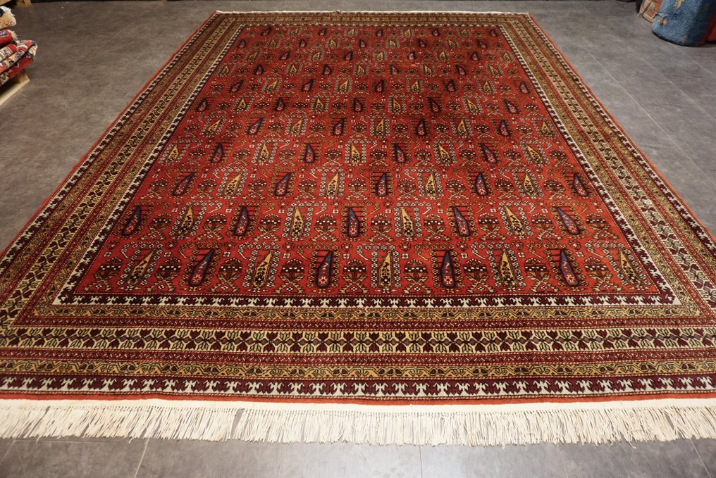 傑爾賓特·希爾萬 - 地毯 - 336 cm - 250 cm #2.2